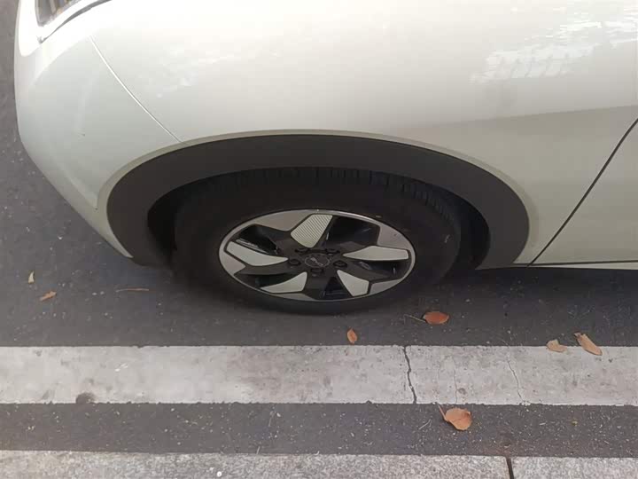 BYD Dolphin 2025 2025款 420km 自由版