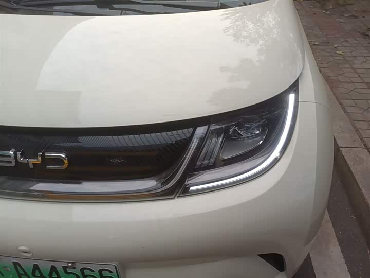 BYD Dolphin 2025 2025款 420km 自由版