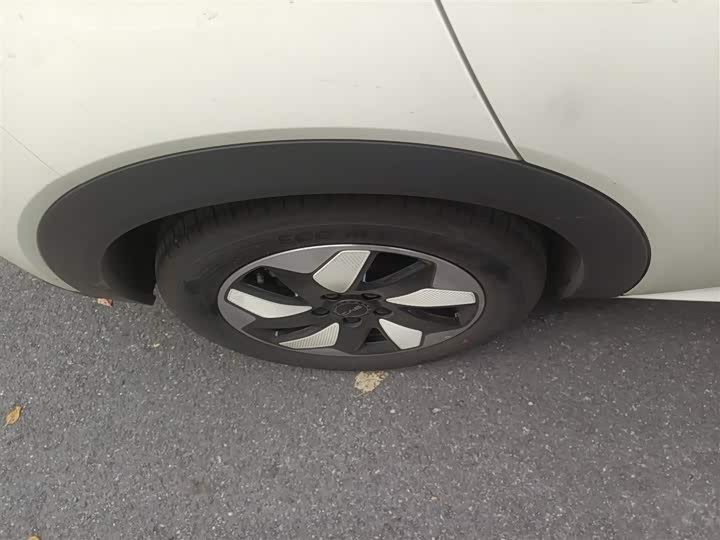 BYD Dolphin 2025 2025款 420km 自由版