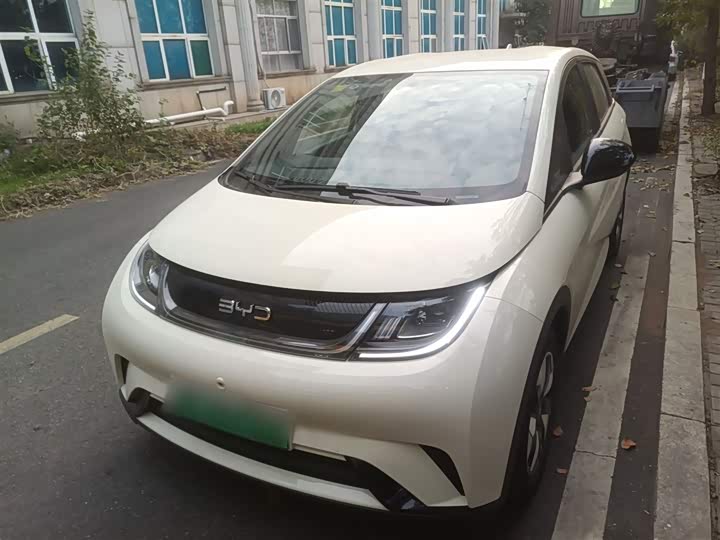 2025 BYD Dolphin