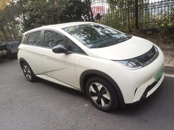 2025 BYD Dolphin