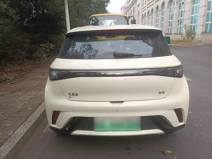 BYD Dolphin 2025 2025款 420km 自由版