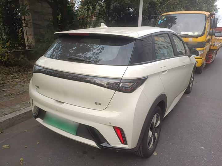 BYD Dolphin 2025 2025款 420km 自由版