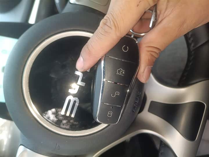 BYD Dolphin 2025 2025款 420km 自由版