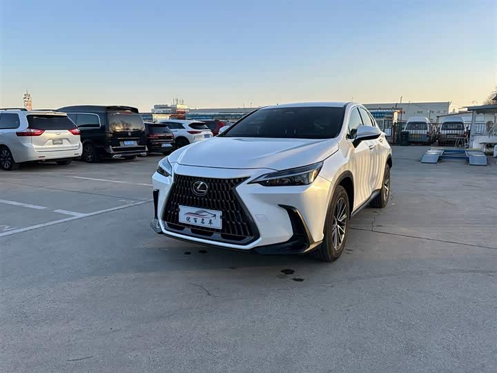 Lexus NX 2023 2023款 260 前驱 创驰版
