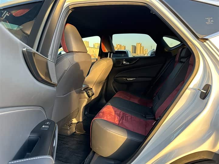 Lexus NX 2023 2023款 260 前驱 创驰版