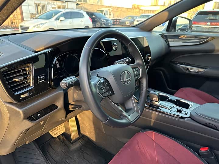 Lexus NX 2023 2023款 260 前驱 创驰版