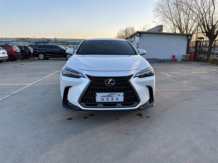 Lexus NX 2023 2023款 260 前驱 创驰版