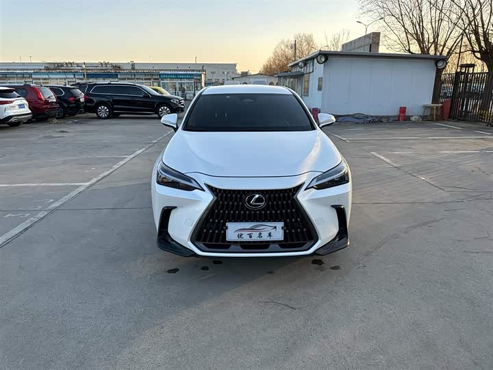 Lexus NX 2023 2023款 260 前驱 创驰版