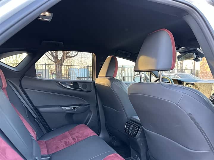 Lexus NX 2023 2023款 260 前驱 创驰版