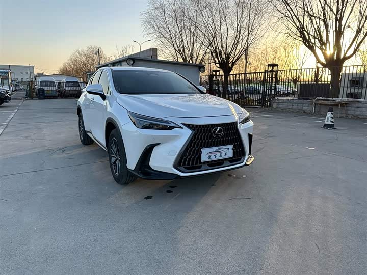 Lexus NX 2023 2023款 260 前驱 创驰版