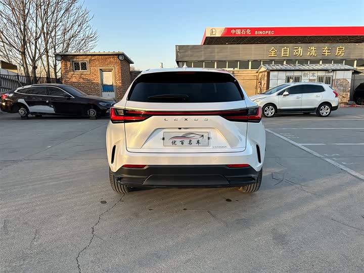 Lexus NX 2023 2023款 260 前驱 创驰版