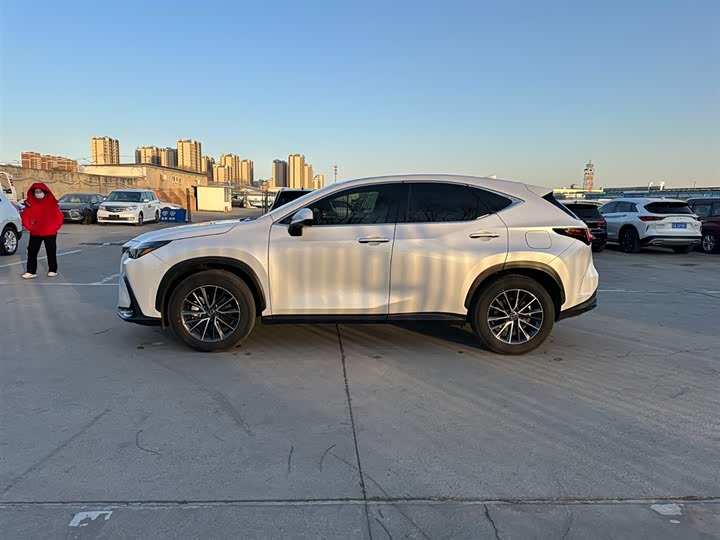 Lexus NX 2023 2023款 260 前驱 创驰版