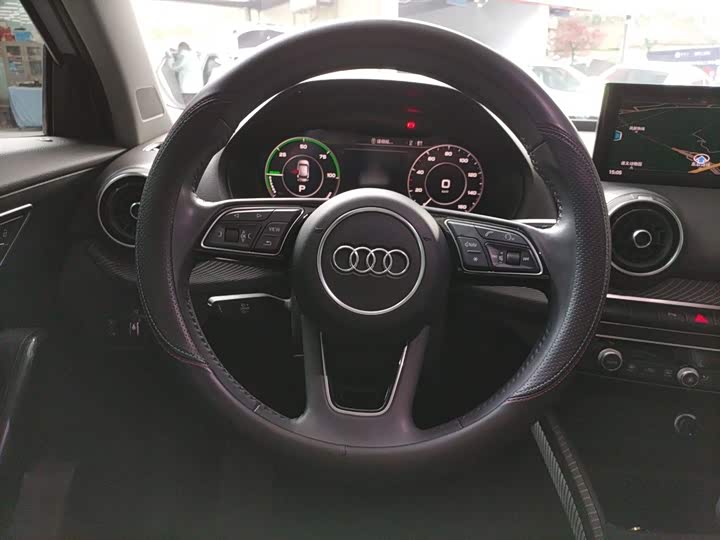 Audi Q2L e-tron 2019 2019款 Q2L e-tron 纯电智享型