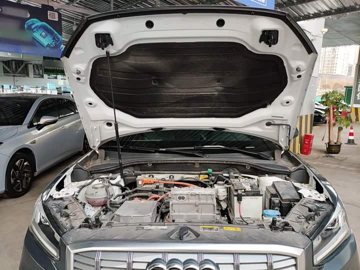 Audi Q2L e-tron 2019 2019款 Q2L e-tron 纯电智享型