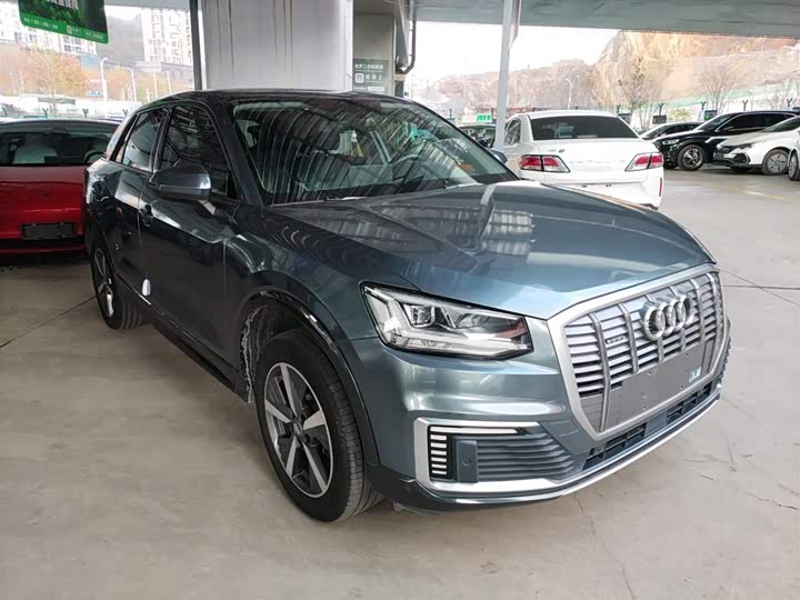 Audi Q2L e-tron 2019 2019款 Q2L e-tron 纯电智享型