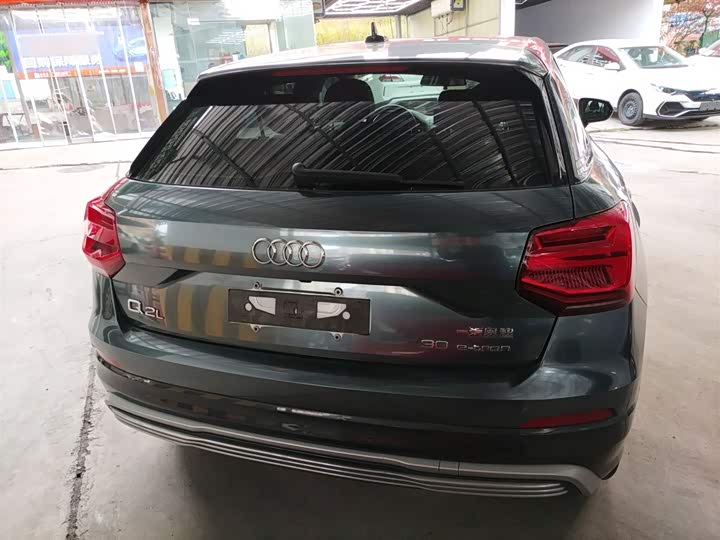 Audi Q2L e-tron 2019 2019款 Q2L e-tron 纯电智享型