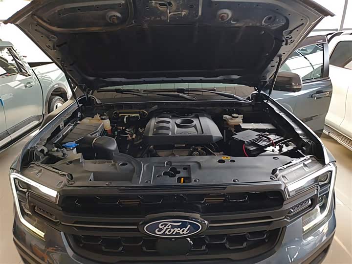 Ford Ranger 2023 2023款 野地四驱自动版 汽油