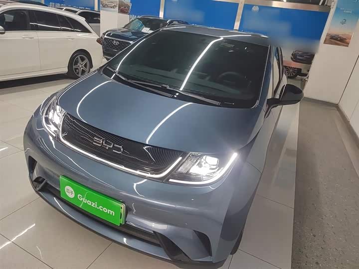 BYD Dolphin 2025 2025款 420km 活力版