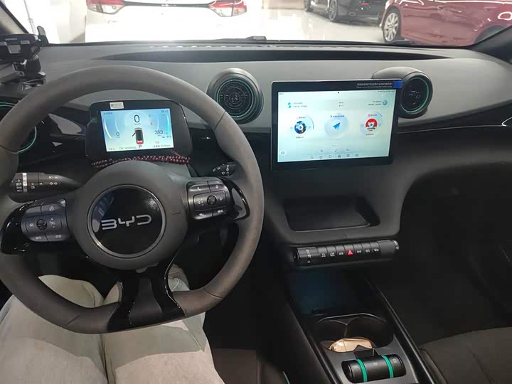 BYD Dolphin 2025 2025款 420km 活力版