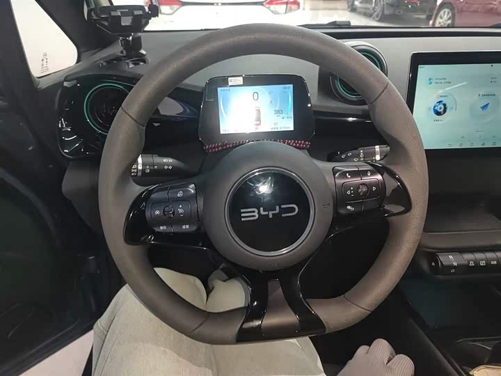 BYD Dolphin 2025 2025款 420km 活力版