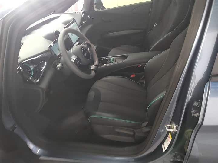 BYD Dolphin 2025 2025款 420km 活力版