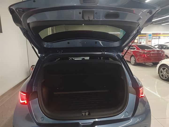 BYD Dolphin 2025 2025款 420km 活力版