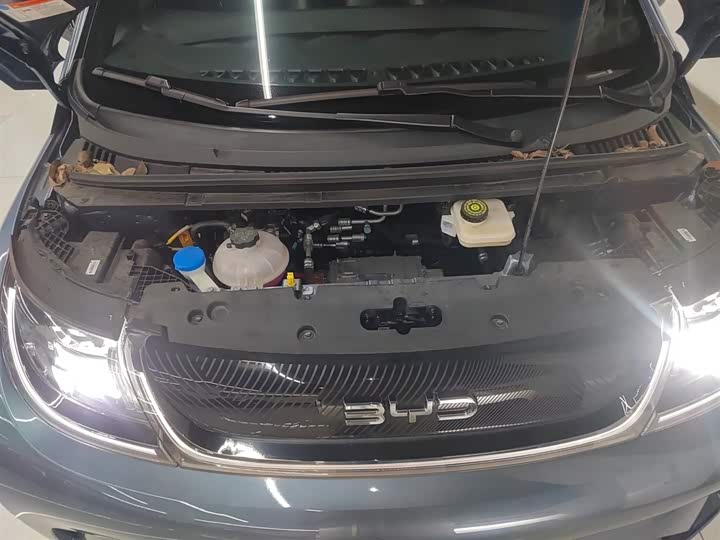 BYD Dolphin 2025 2025款 420km 活力版