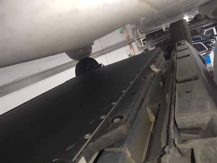 BYD Dolphin 2025 2025款 420km 活力版