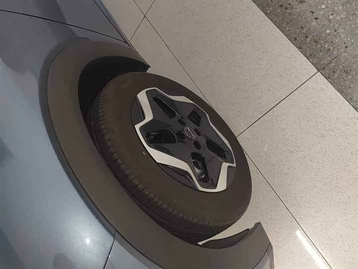 BYD Dolphin 2025 2025款 420km 活力版