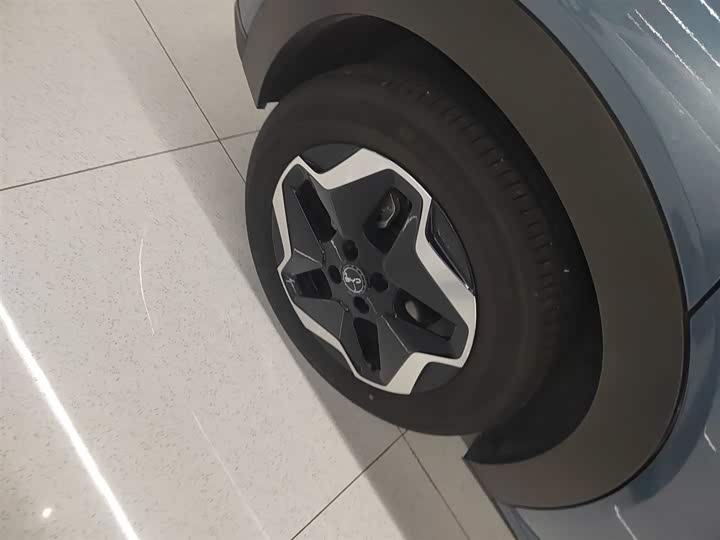 BYD Dolphin 2025 2025款 420km 活力版