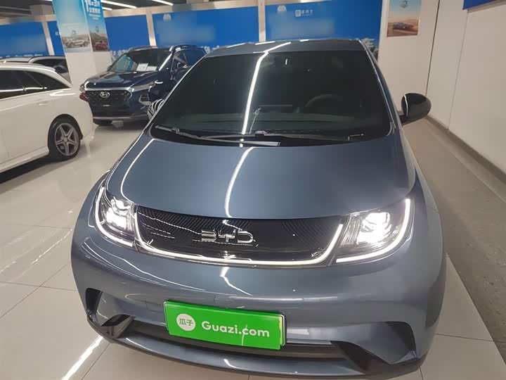 BYD Dolphin 2025 2025款 420km 活力版