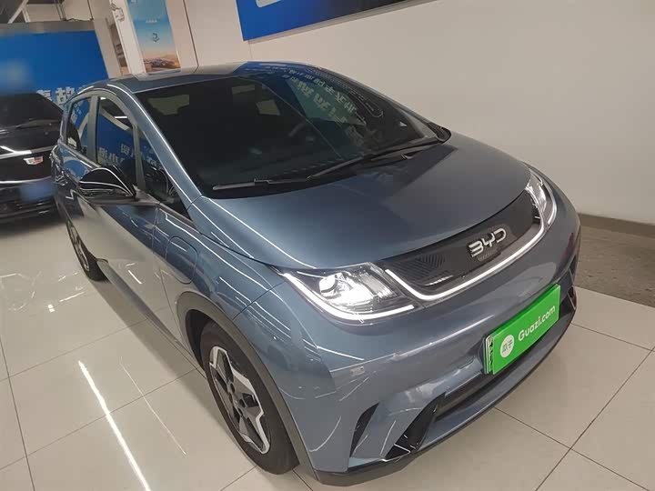 BYD Dolphin 2025 2025款 420km 活力版