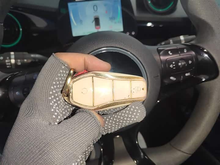 BYD Dolphin 2025 2025款 420km 活力版