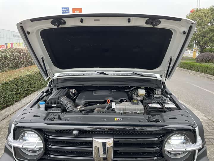 Tank 300 2025 2025款 2.0T 汽油征服者