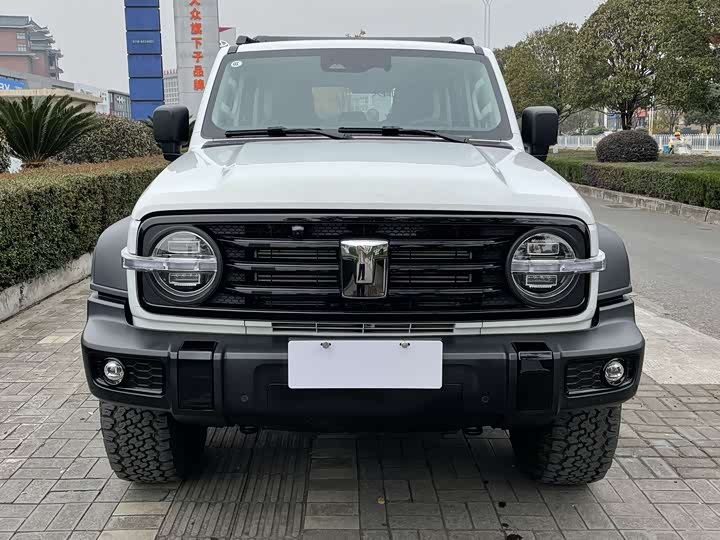 Tank 300 2025 2025款 2.0T 汽油征服者