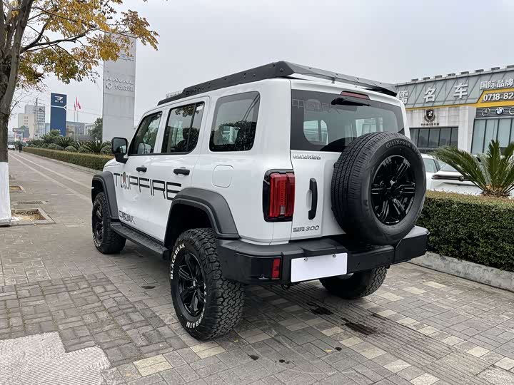 Tank 300 2025 2025款 2.0T 汽油征服者