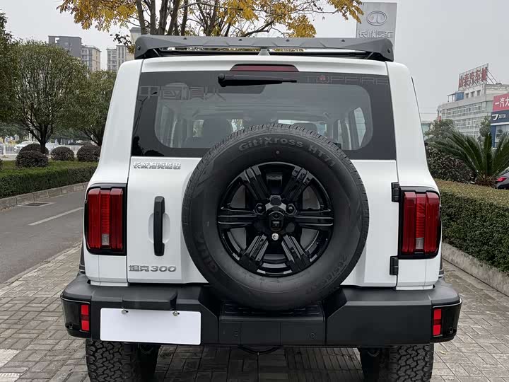 Tank 300 2025 2025款 2.0T 汽油征服者