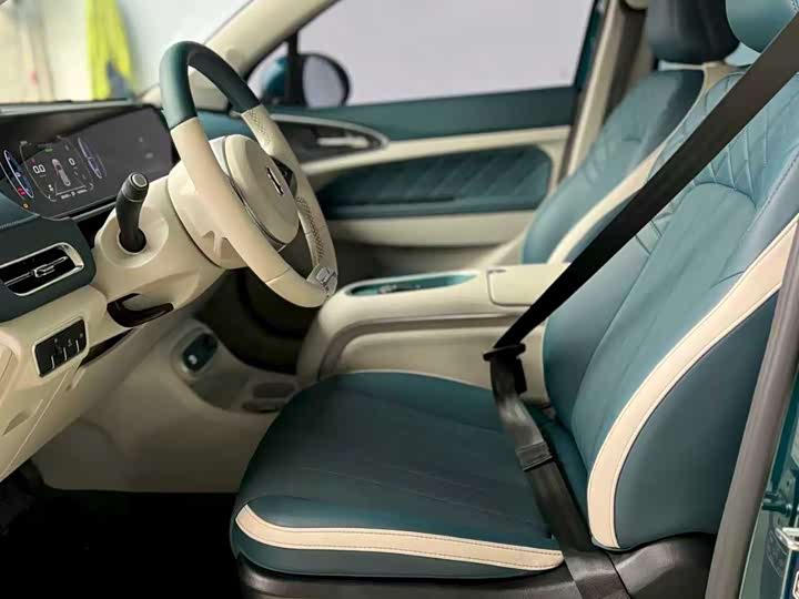 Ora Good Cat (03) 2023 2023款 401km标准续航 豪华型 磷酸铁锂