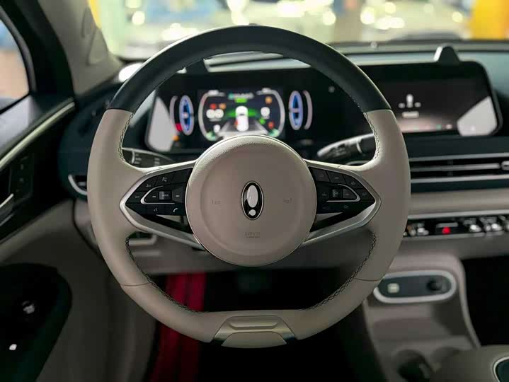 Ora Good Cat (03) 2023 2023款 401km标准续航 豪华型 磷酸铁锂