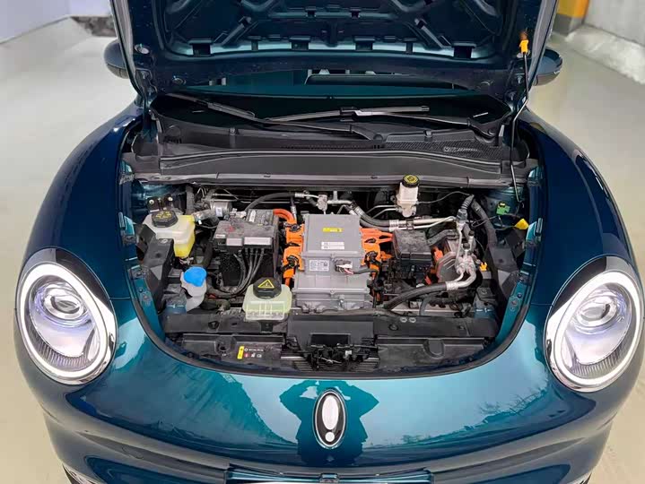 Ora Good Cat (03) 2023 2023款 401km标准续航 豪华型 磷酸铁锂