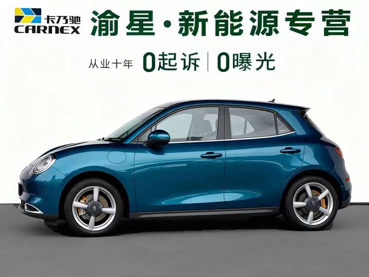 Ora Good Cat (03) 2023 2023款 401km标准续航 豪华型 磷酸铁锂