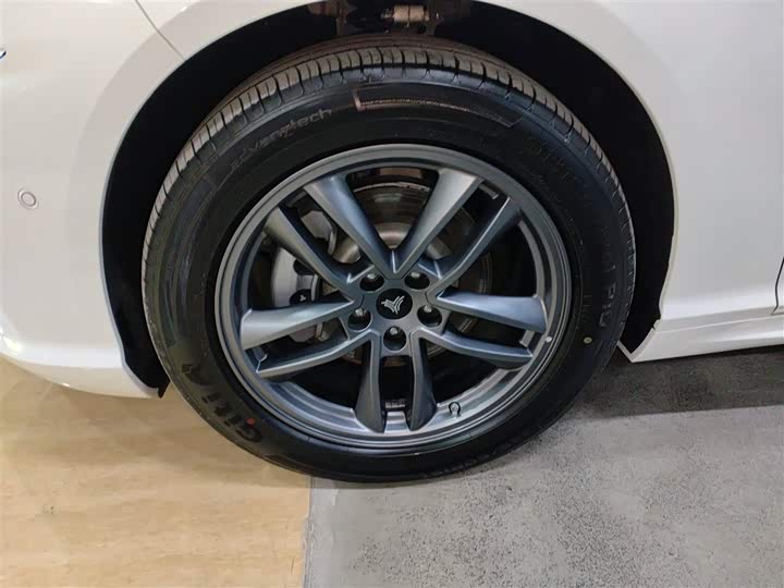 Hozon S Hunting 2024 2024款 增程300 标准版