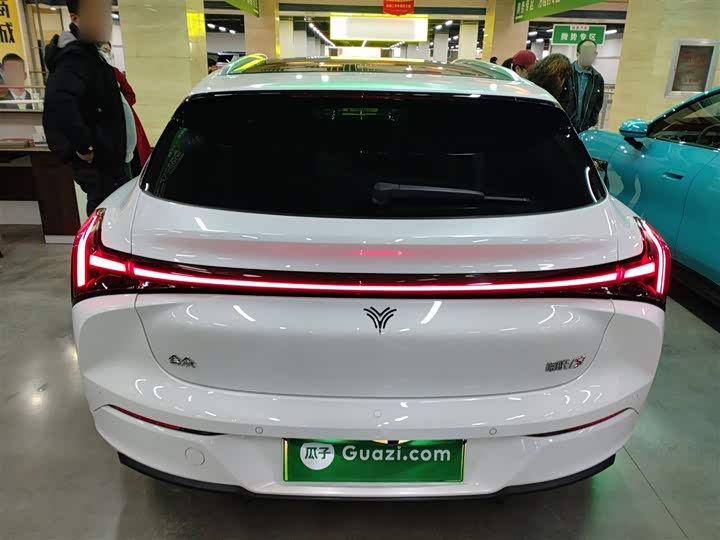 Hozon S Hunting 2024 2024款 增程300 标准版