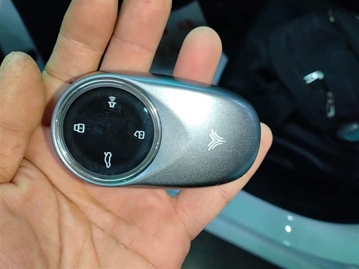 Hozon S Hunting 2024 2024款 增程300 标准版