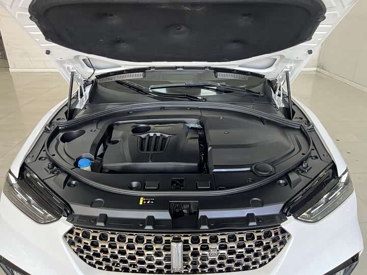 Wey VV7 2020 2020款 2.0T 旗舰型