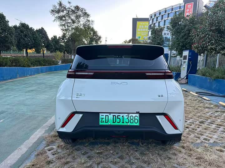 BYD Seagull 2025 2025款 305km 自由版