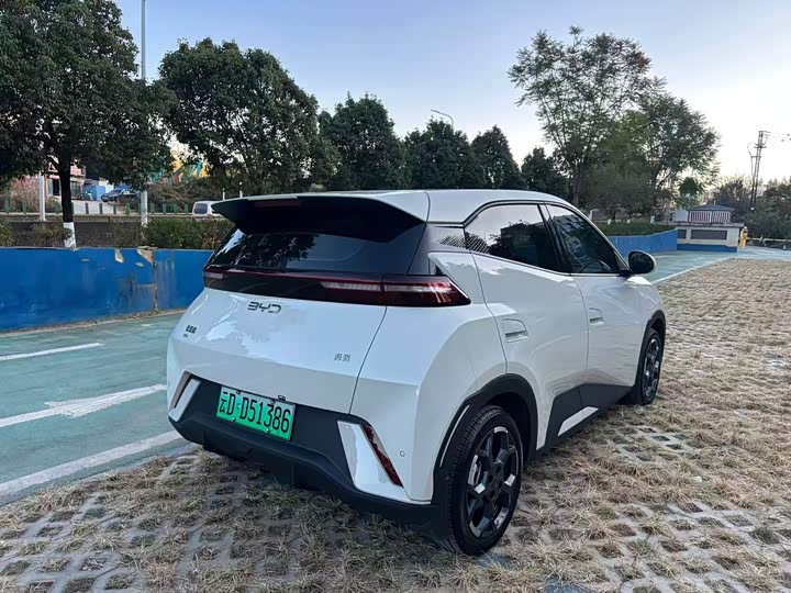 BYD Seagull 2025 2025款 305km 自由版