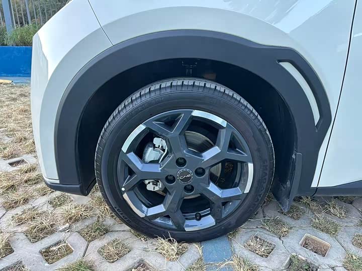 BYD Seagull 2025 2025款 305km 自由版