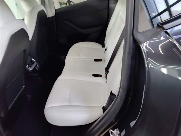 Tesla Model Y 2024 2024款 后轮驱动版
